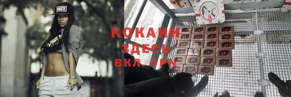 экстази Няндома