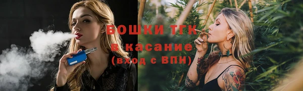 экстази Няндома