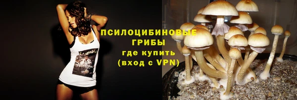 экстази Новозыбков