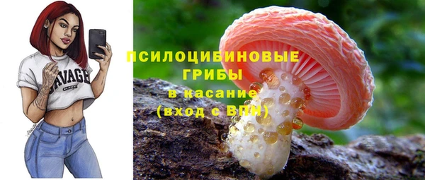 экстази Няндома