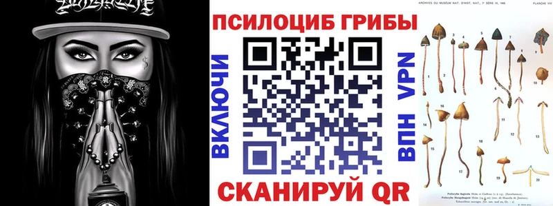 сколько стоит  Инта  Псилоцибиновые грибы MAGIC MUSHROOMS 